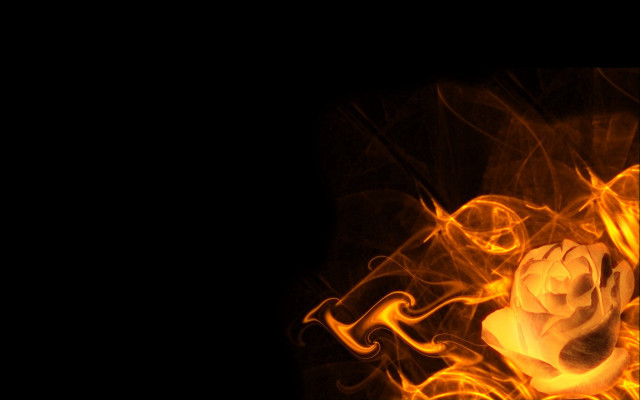 Glowing rose yellow smoke black free wallpaper for desktop - medium preview image