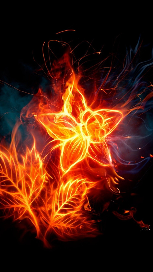 Fire flower bright orange red free wallpaper for mobile - medium preview image