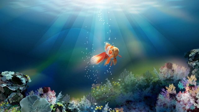 Fish swimming ocean sunbeam seaweed free wallpaper for desktop - medium preview image