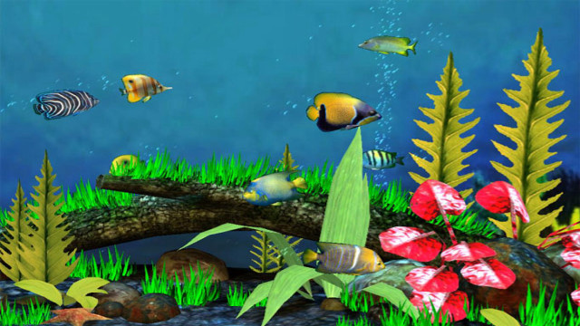 Fish pond diverse fish plants free wallpaper for desktop - medium preview image