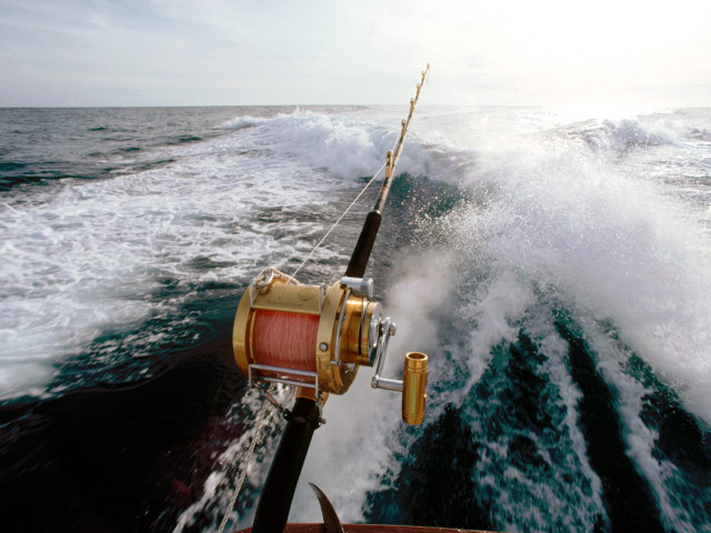Fishing rod boat reel speeding #2 free wallpaper for desktop - medium preview image