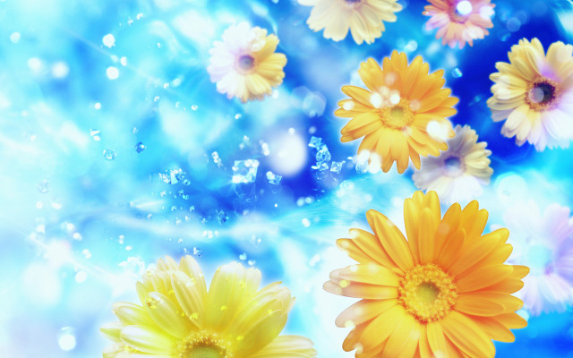 Yellow white flowers floating bubbles free wallpaper for desktop - medium preview image