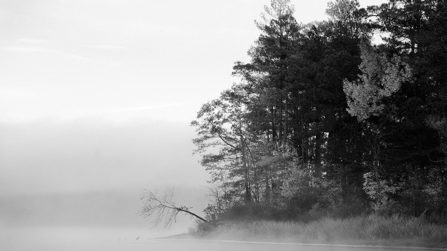 Foggy river black white photo free wallpaper for desktop - medium preview image