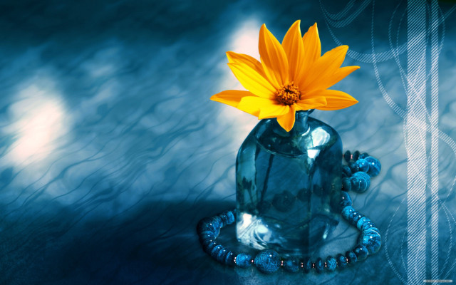 Yellow flower blue vase table free wallpaper for desktop - medium preview image