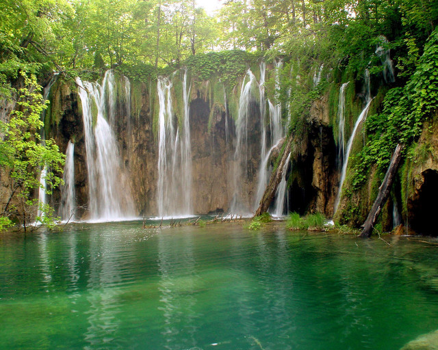 Waterfall pool forest surrounding body free wallpaper for desktop - medium preview image