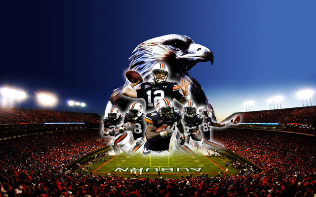 Football stadium eagle player helmet free wallpaper for desktop - medium preview image