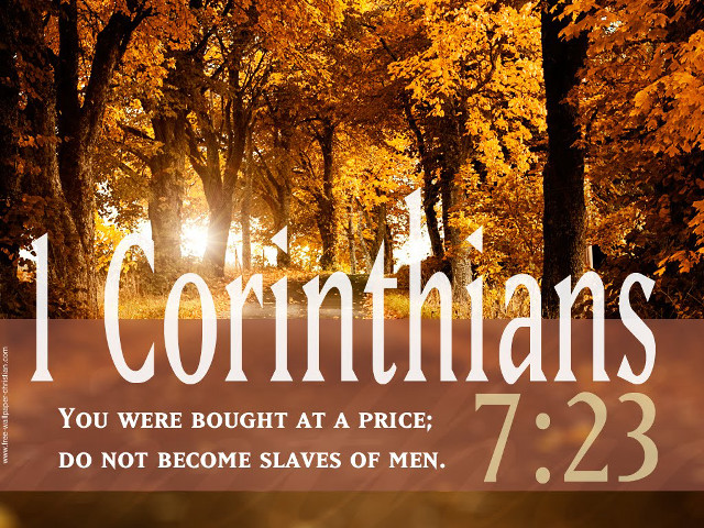 Forest quote 1corinthians bought at free wallpaper for desktop - medium preview image