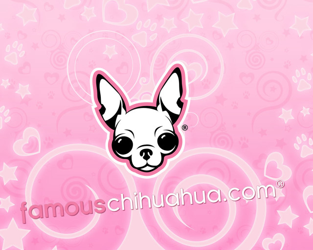 Pink background dog face stars free wallpaper for desktop - medium preview image