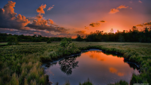 Sunset small pond grassy field free wallpaper for desktop - medium preview image