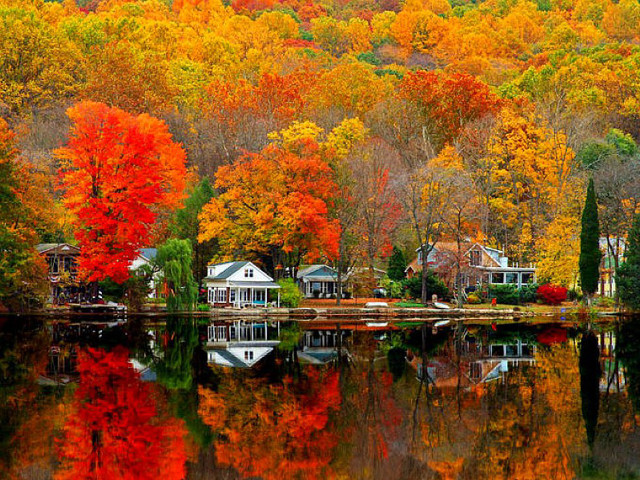 Lake autumn trees reflection houses free wallpaper for desktop - medium preview image
