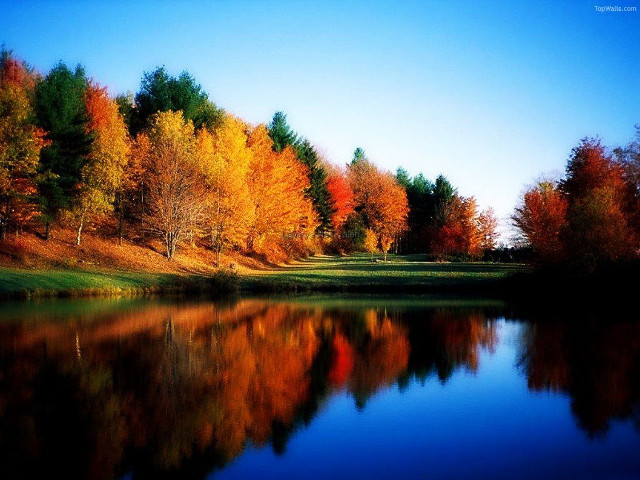 Lake trees fall colors blue #2 free wallpaper for desktop - medium preview image