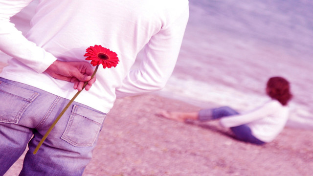 Man holding flower beach kneeling free wallpaper for desktop - medium preview image
