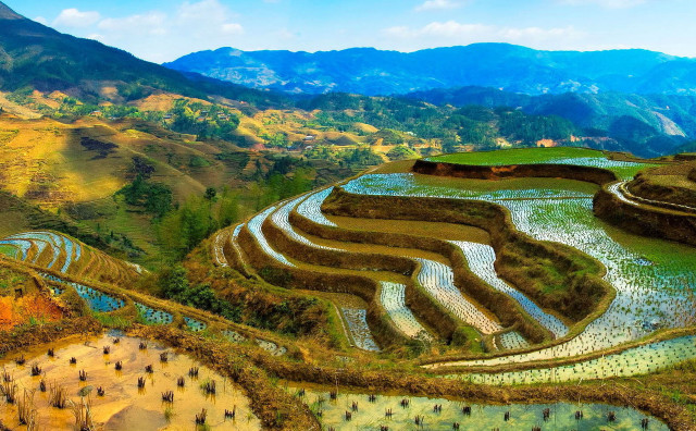 Hillside river mountains rice terraces free wallpaper for desktop - medium preview image