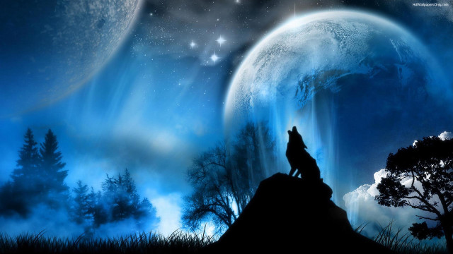 Wolf hill moon stars sky free wallpaper for desktop - medium preview image