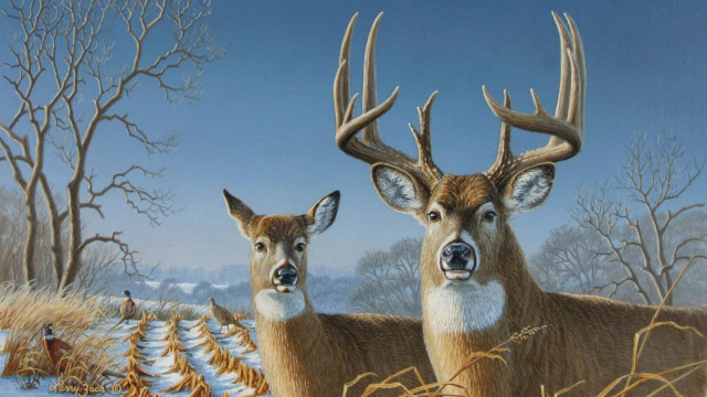 Two deer snow covered grass free wallpaper for desktop - medium preview image