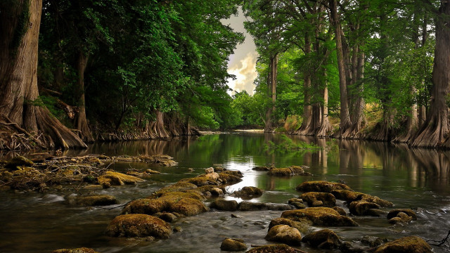 River rocks trees water cloudy free wallpaper for desktop - medium preview image