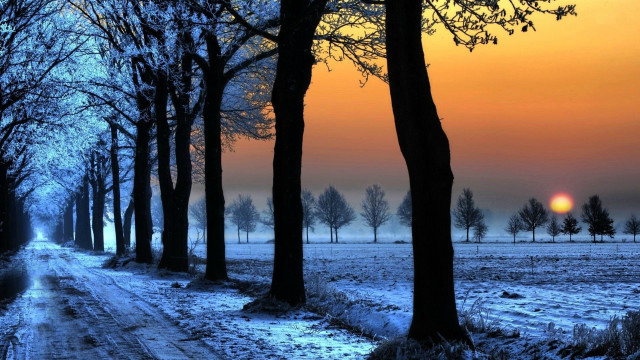 Snowy road trees sunset distance free wallpaper for desktop - medium preview image