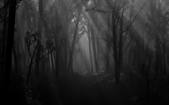 Dark forest fog light trees free wallpaper for desktop - medium preview image