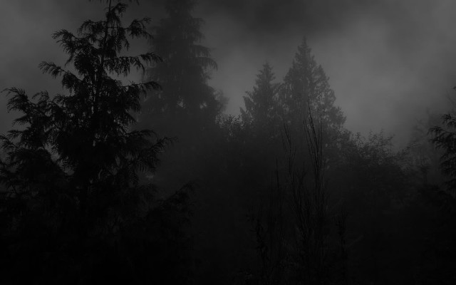 Black white trees fog background free wallpaper for desktop - medium preview image