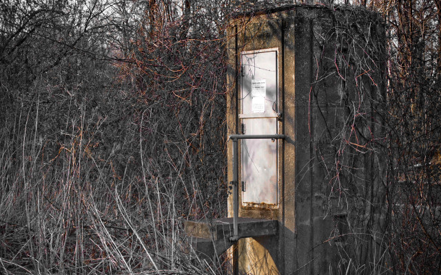 Door field dead grass trees free wallpaper for desktop - medium preview image