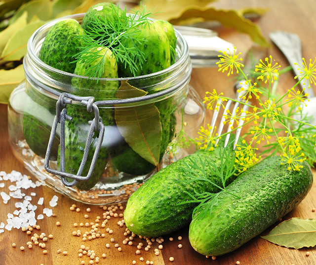 Pickles flower table fork spoon free wallpaper for desktop - medium preview image