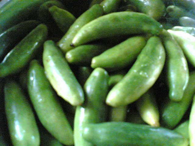 Bowl green beans spoon image free wallpaper for desktop - medium preview image