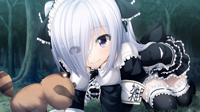 Anime girl white hair teddy free wallpaper for desktop - medium preview image