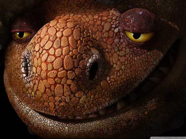 Close up yellow eyes large free wallpaper for desktop - medium preview image