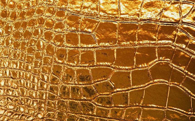 Gold crocodile skin texture close free wallpaper for desktop - medium preview image