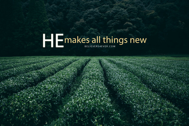 Green grass field quote new free wallpaper for desktop - medium preview image