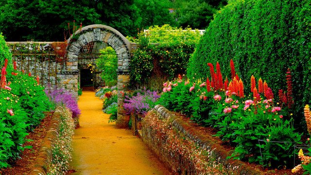 Garden stone arch colorful flowers free wallpaper for desktop - medium preview image