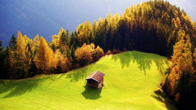 Small house field trees mountains free wallpaper for desktop - medium preview image