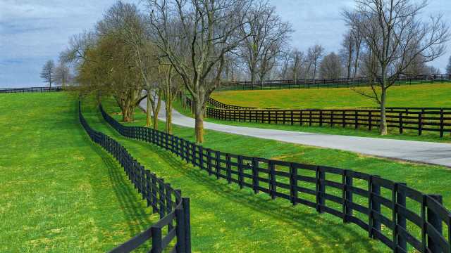 Black fence grassy field road free wallpaper for desktop - medium preview image