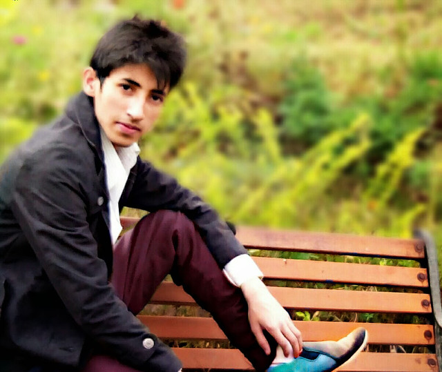 Man bench park fashion blurry free wallpaper for desktop - medium preview image