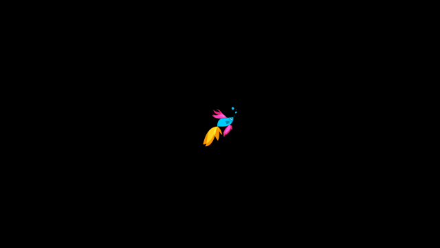 Colorful bird rainbow tail dark free wallpaper for desktop - medium preview image