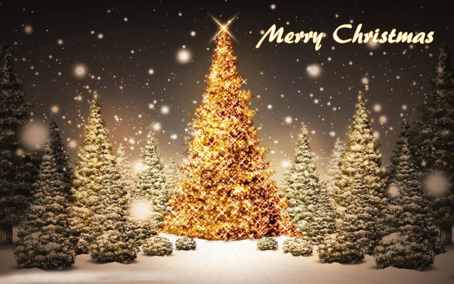 Christmas tree lit snow merry free wallpaper for desktop - medium preview image