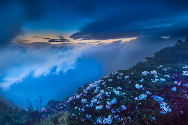 Mountain flowers cloudy sky clouds free wallpaper for desktop - medium preview image