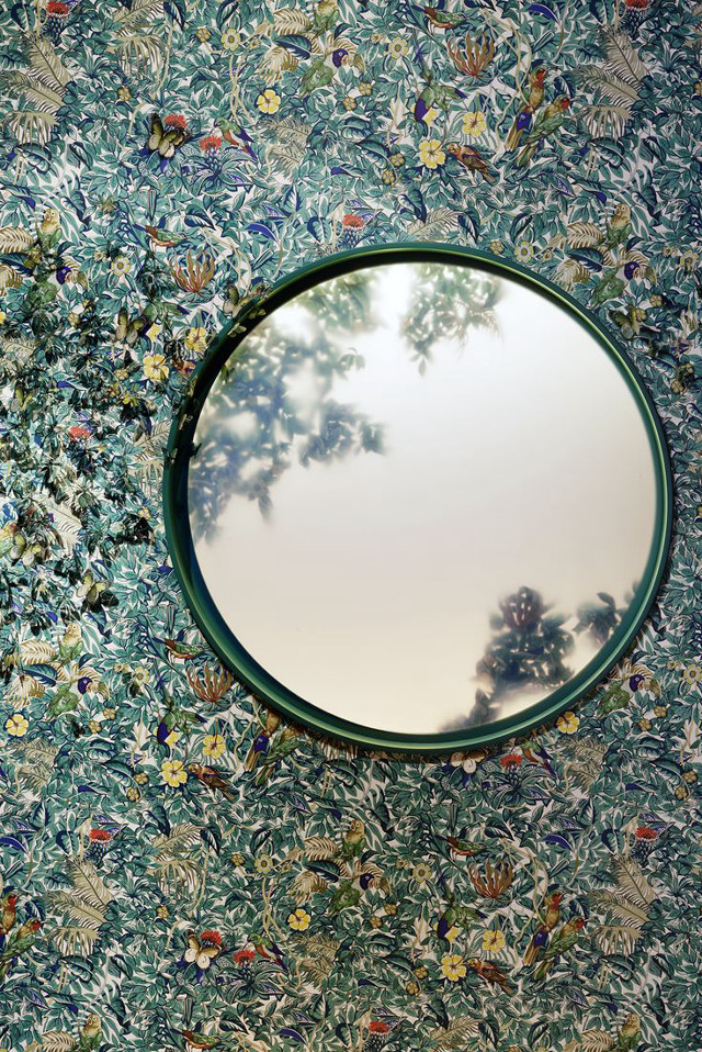 Round mirror wall tree reflection free wallpaper for mobile - medium preview image
