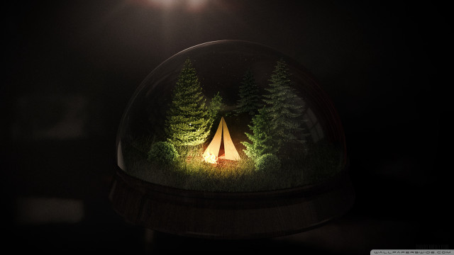 Tent glass dome trees night free wallpaper for desktop - medium preview image