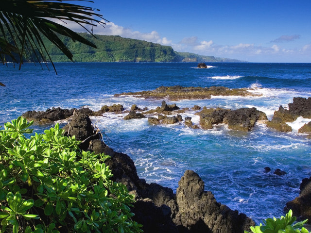 Rocky beach waves crashing trees free wallpaper for desktop - medium preview image