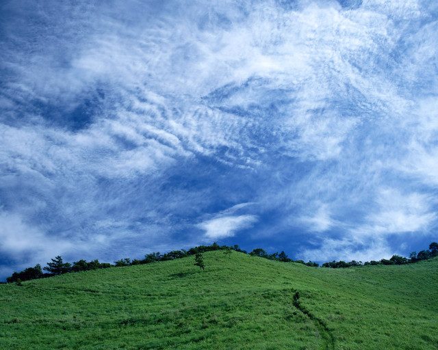 Green hill tree cloudy sky #2 free wallpaper for desktop - medium preview image