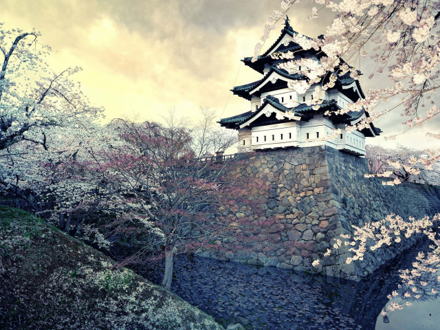 Castle tower flower tree cloudy free wallpaper for desktop - medium preview image