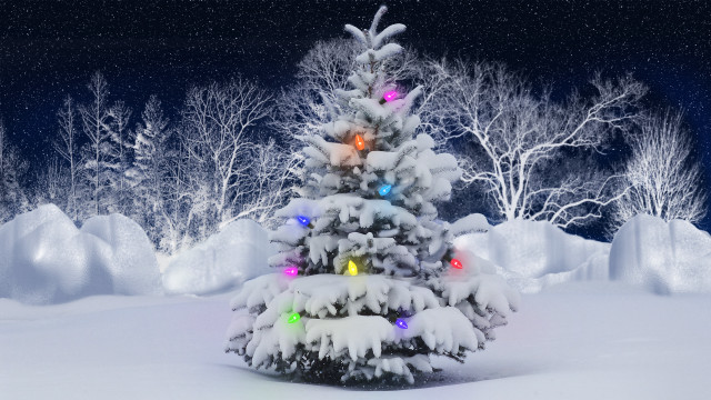 Christmas tree snow lights falling free wallpaper for desktop - medium preview image