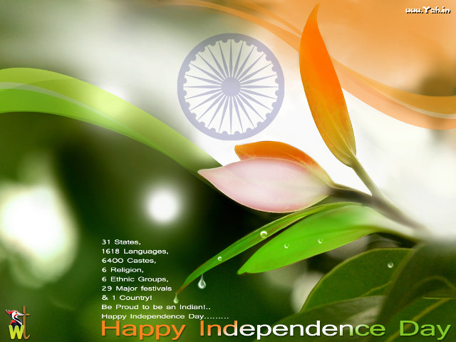 Happy independence day flower wheel free wallpaper for desktop - medium preview image