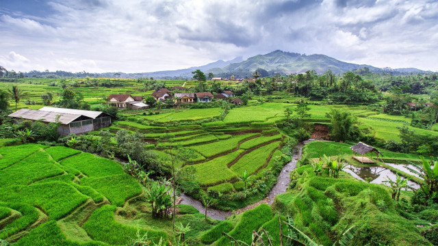 Lush green field river houses free wallpaper for desktop - medium preview image