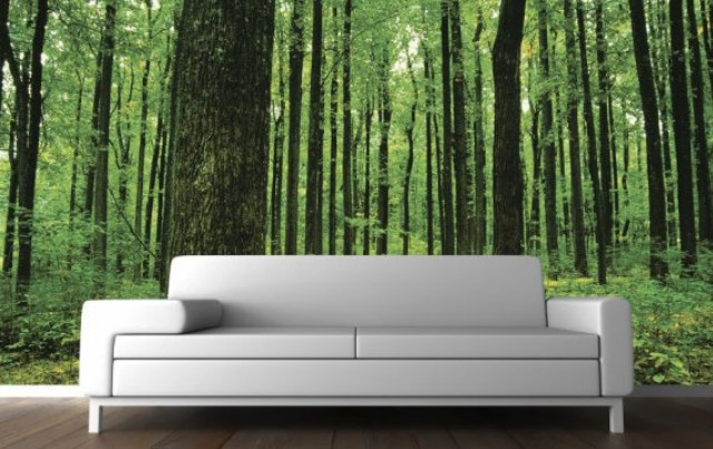 Couch forest mural white room free wallpaper for desktop - medium preview image