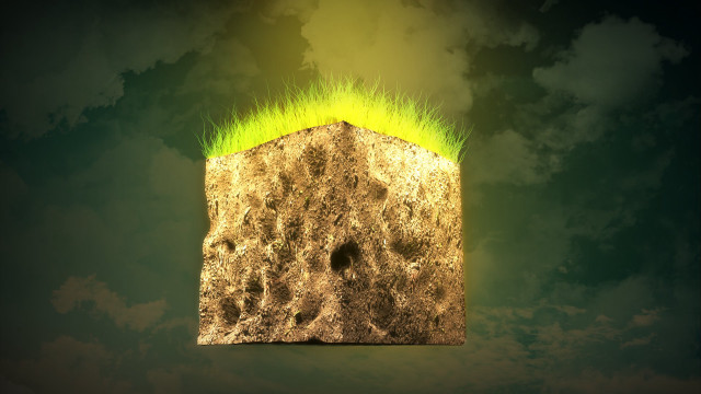 Wood green substance sky clouds free wallpaper for desktop - medium preview image