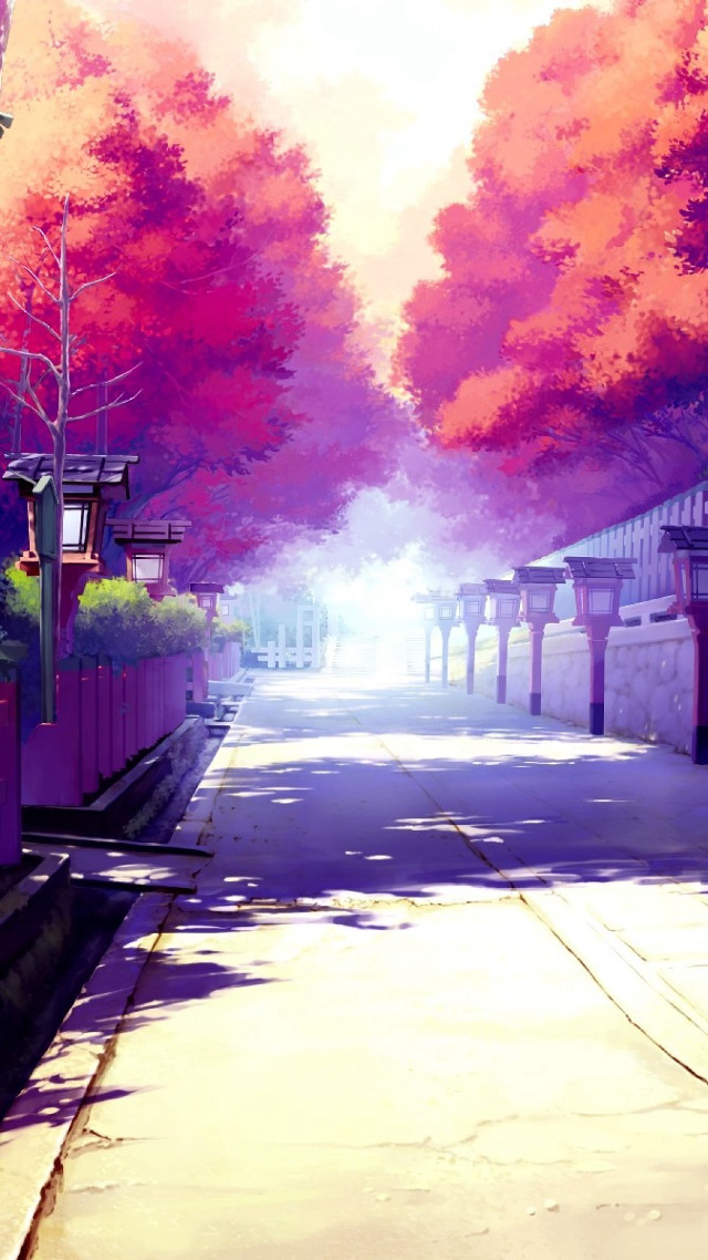 Red tree lined street building free wallpaper for mobile - medium preview image