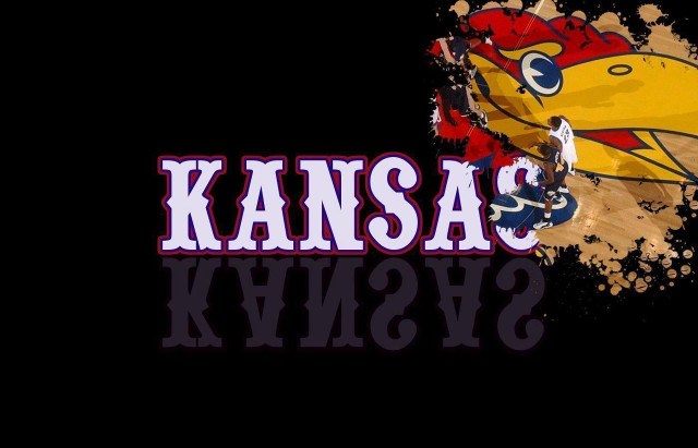 Kansas yellow bird red white free wallpaper for desktop - medium preview image