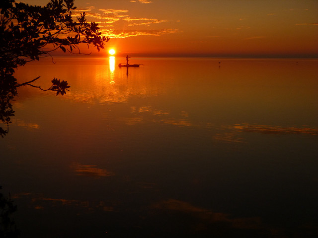 Boat sunset water tree foreground free wallpaper for desktop - medium preview image